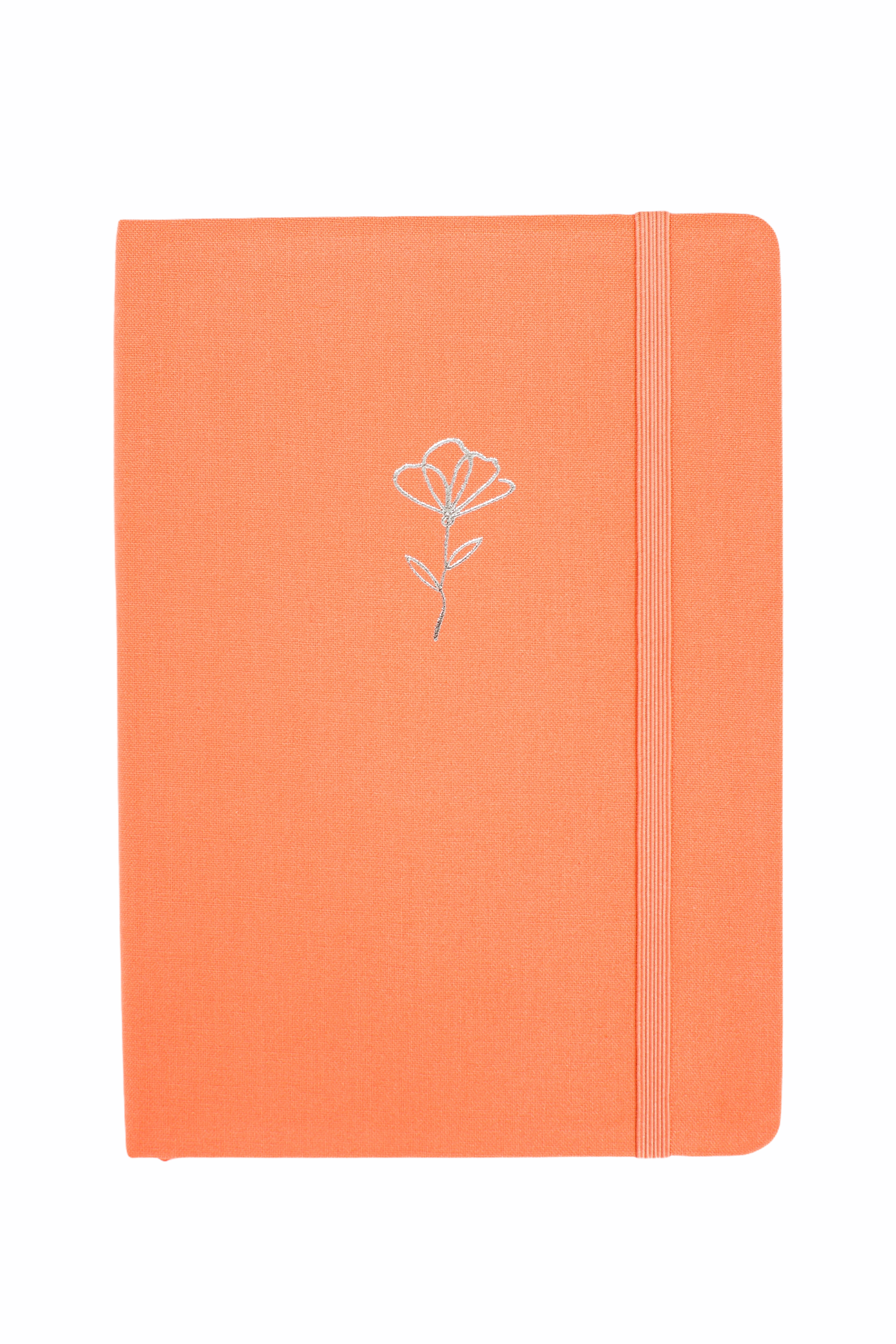 Specialist Journaler Lux Box (various journal options)