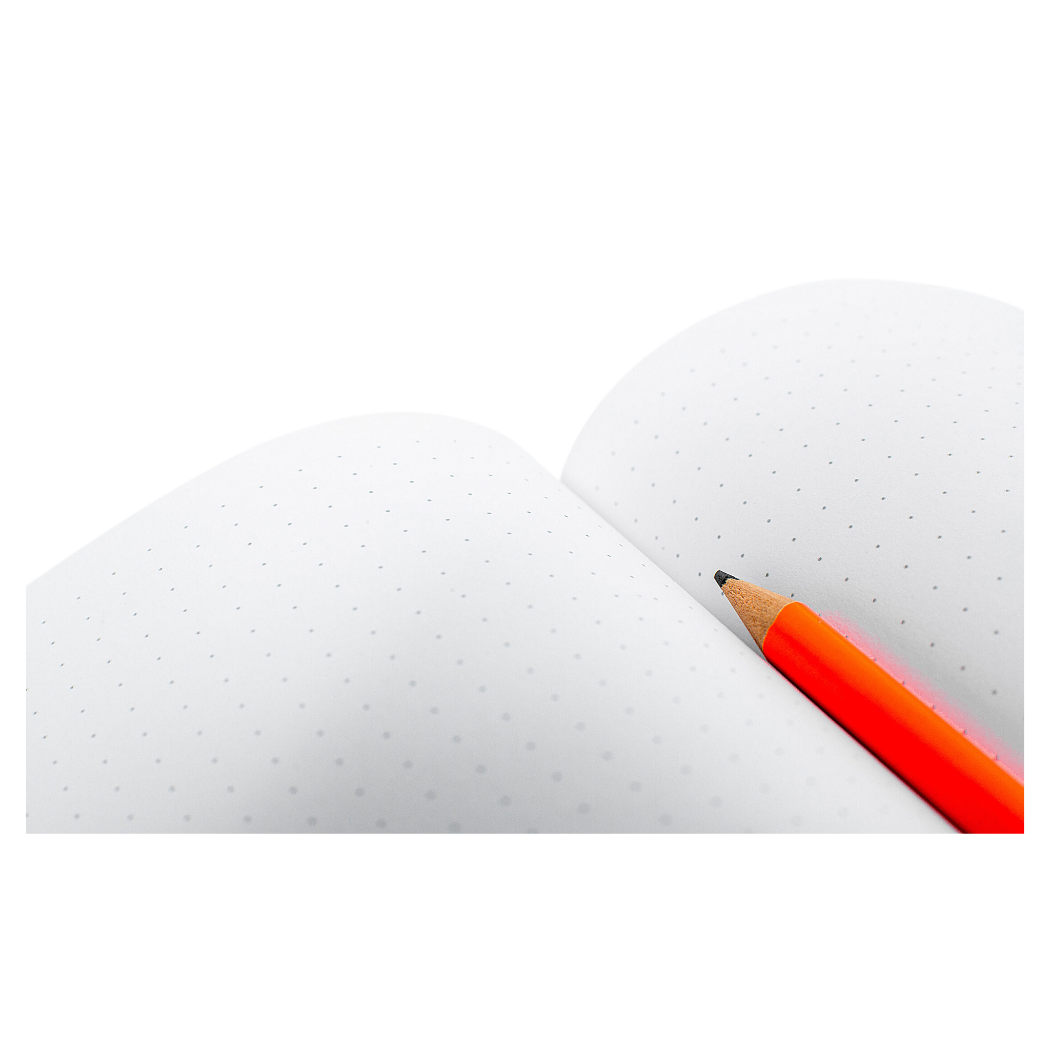 Stag Notebook